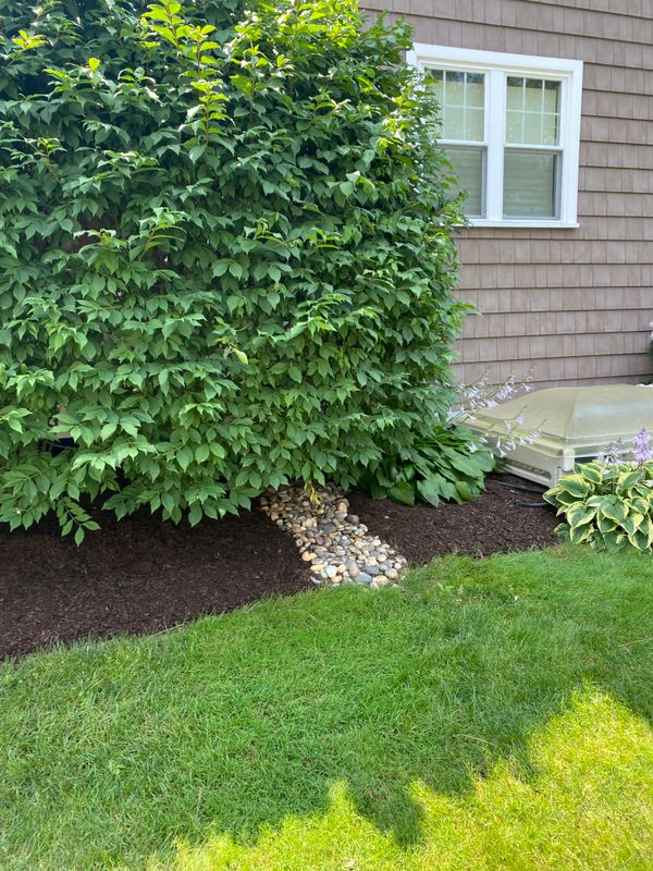 Mulching