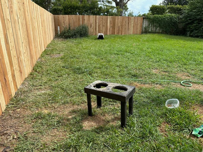 Fencing and gate repairs