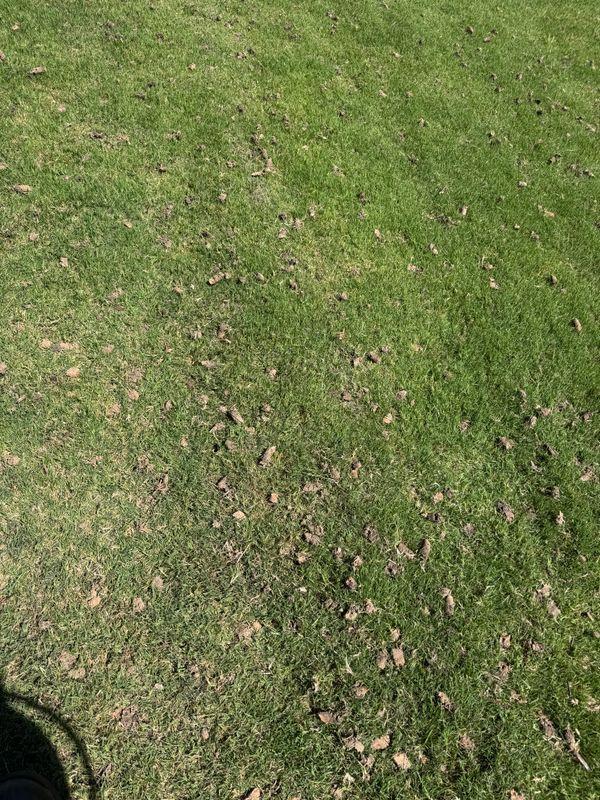 Aeration Gallery