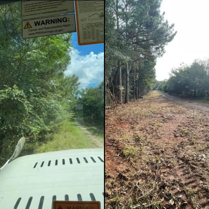 Land Clearing