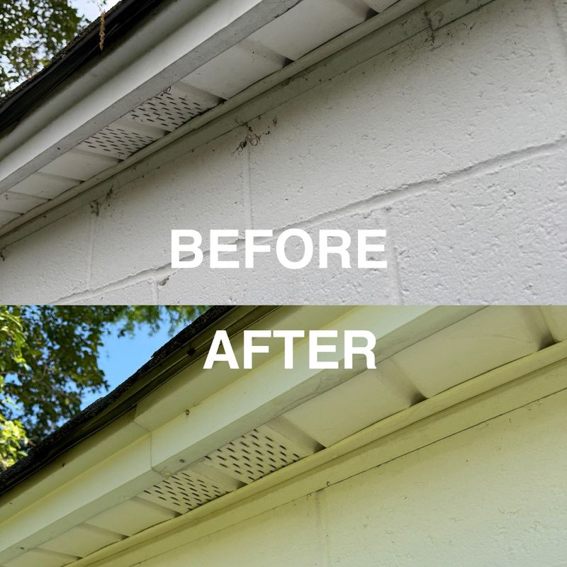 Pressure Washing 
