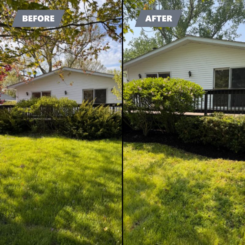 Before & After