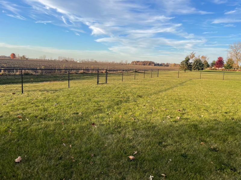 Chain Link Fencing