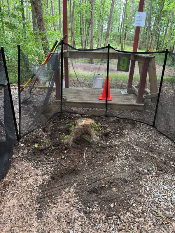 Stump Removal gallery