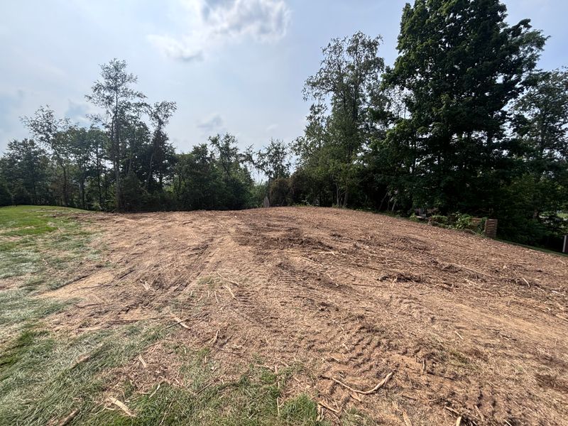 Land Clearing