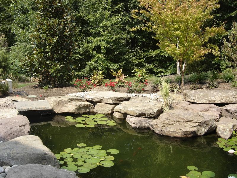 Water Features