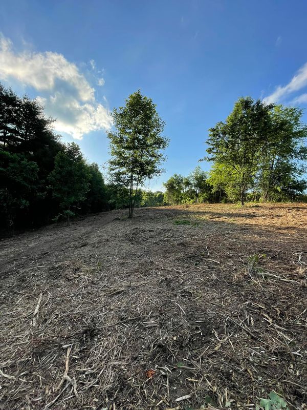 Forestry Mulching gallery