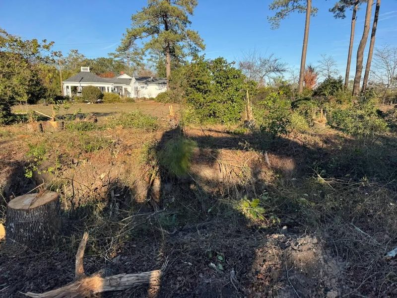 Forestry Mulching