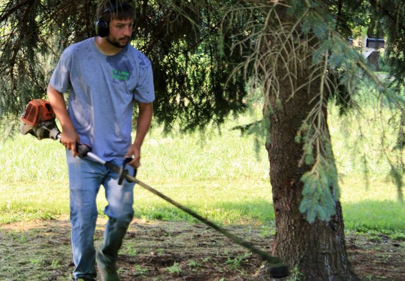 Lawn Mowing
