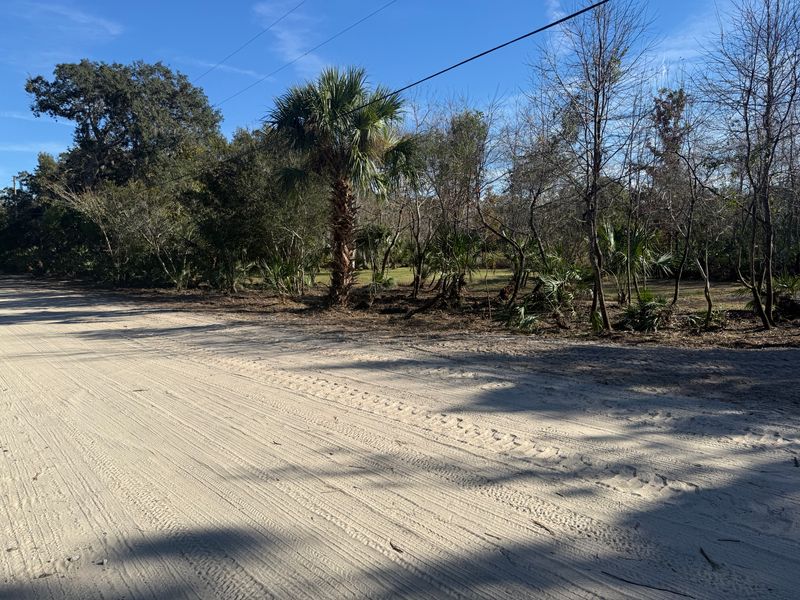 Land Clearing