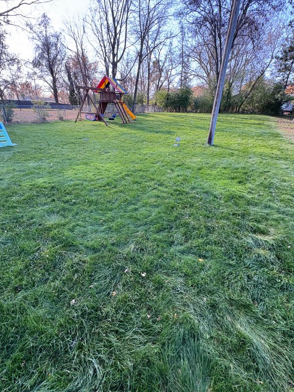 Seasonal Clean-Up Services