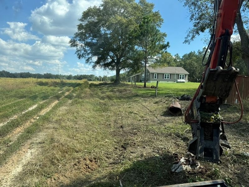 Land Clearing