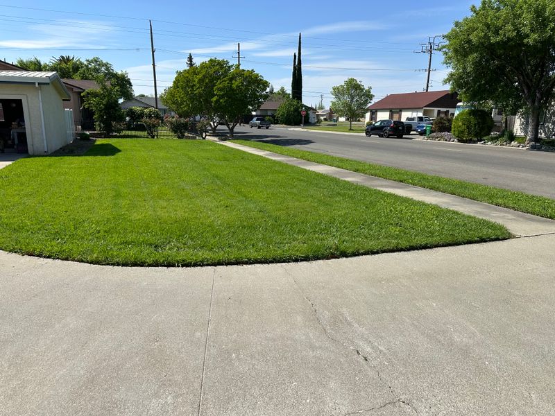 Lawn Maintenance