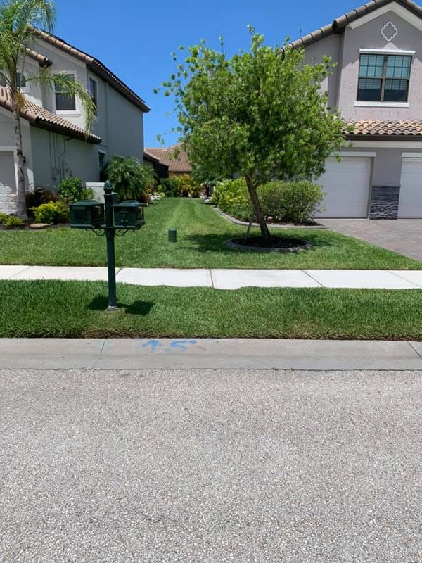 Landscaping