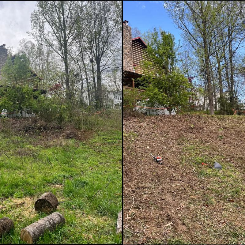 Brush Busting Brilliance: Revitalizing Marshall, VA Landscapes with Expert Land Reclamation