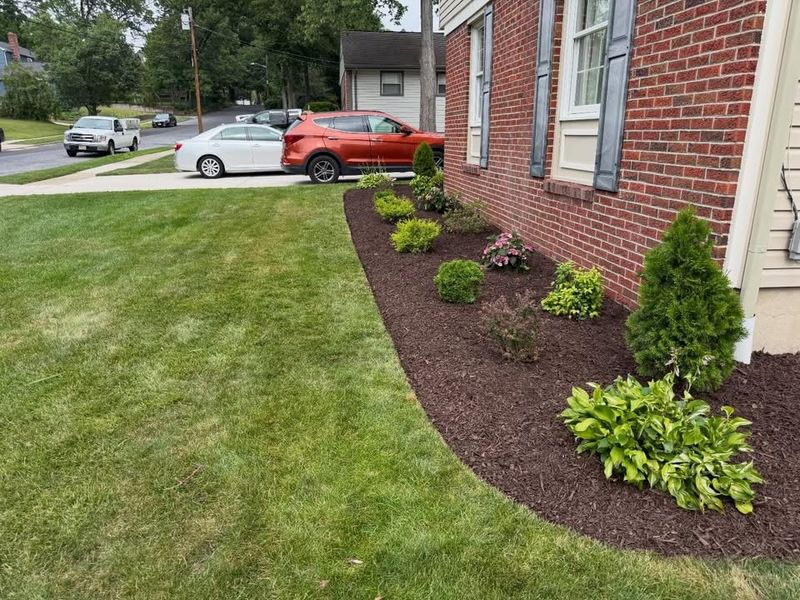 Lawn Care & Maintenance