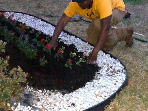 Lawn Care & Maintenance