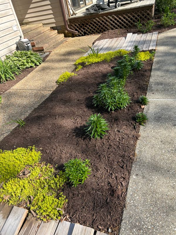 Mulch