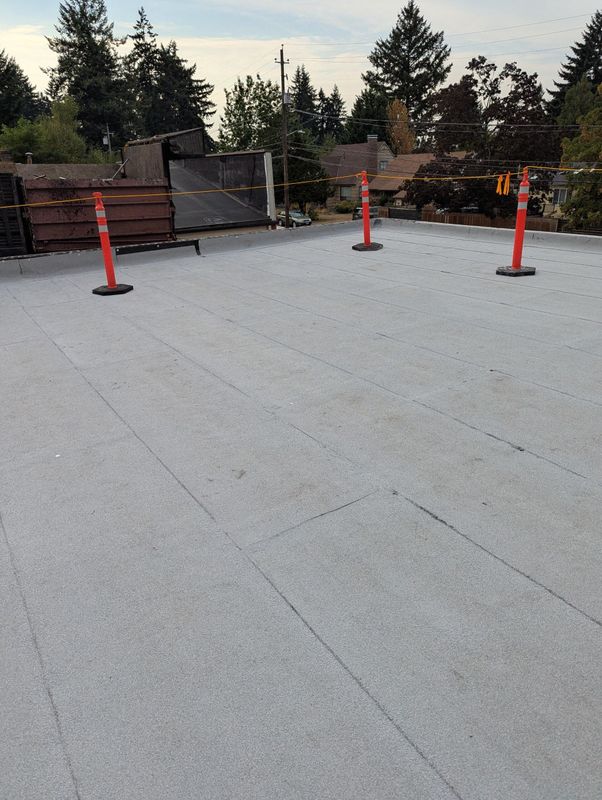Single - Ply Roofs