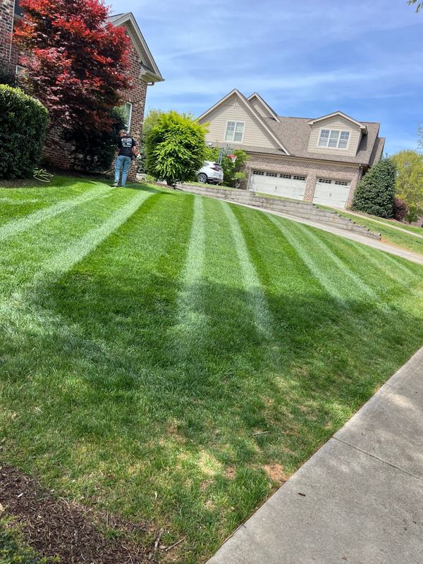 Garden Maintenance