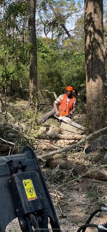 Land Clearing