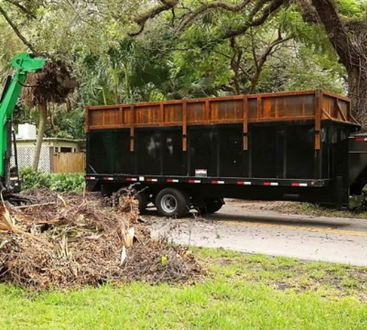 Debris Removal