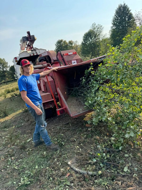 Tree Removal