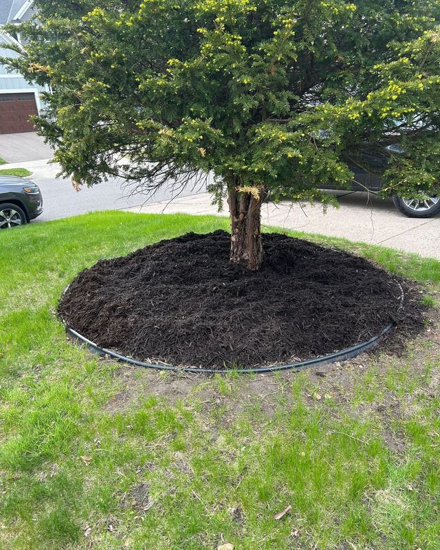 Mulch Installation