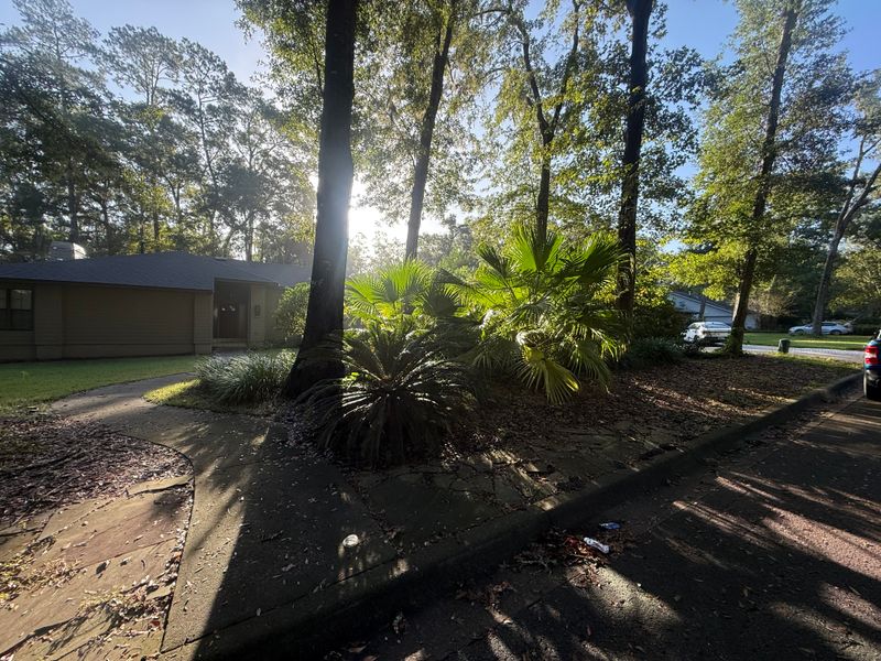Landscape & Property Cleanup