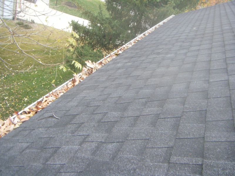 Gutter Cleaning