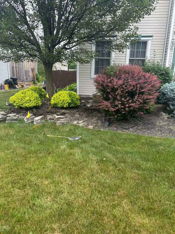 Shrub & Plant Installation Photos
