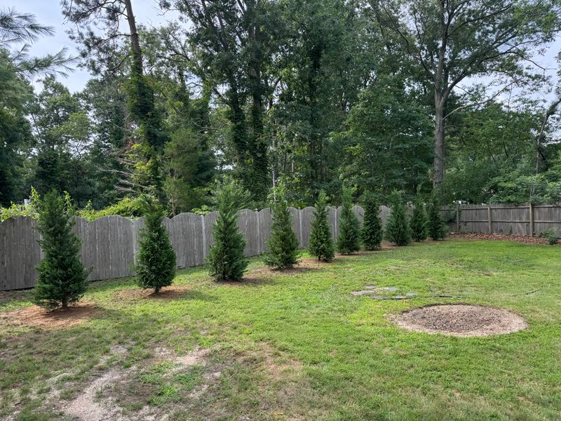 Privacy Tree's