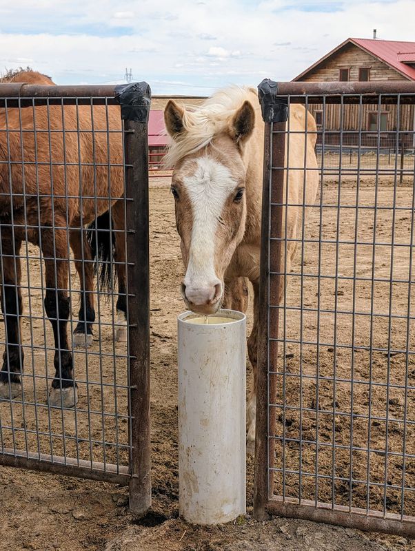 Drinking Posts