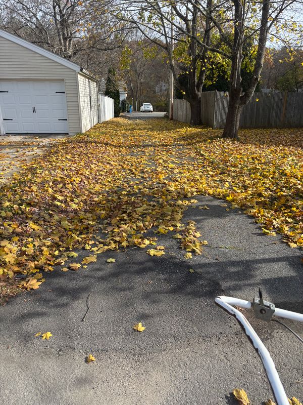 Spring and Fall Clean Up
