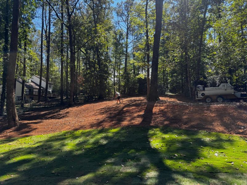 Fence Line Clearing