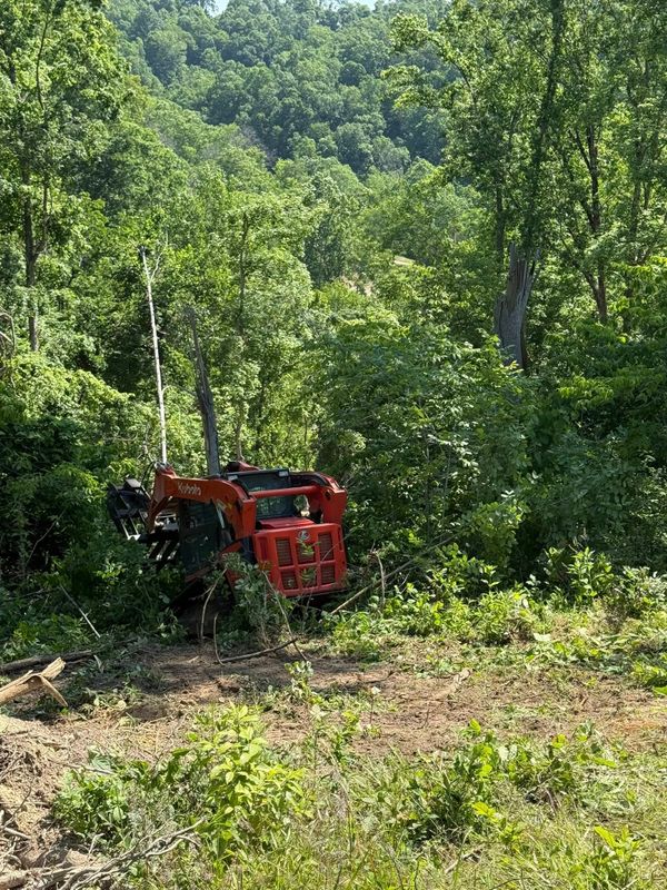 Land Clearing
