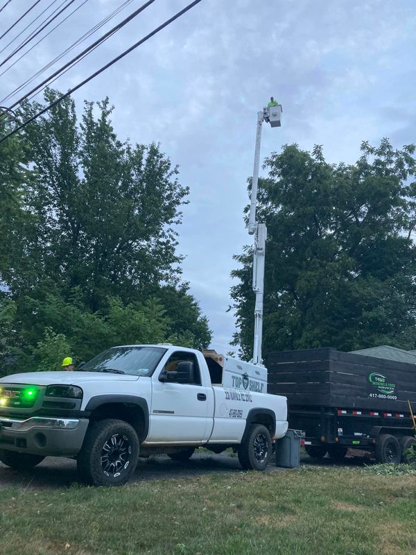Mowing and Tree Services