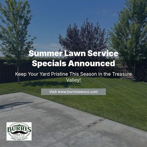 Lawn Mowing and Maintenance