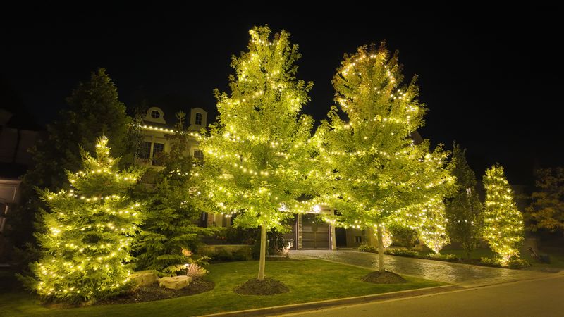 Holiday Lighting