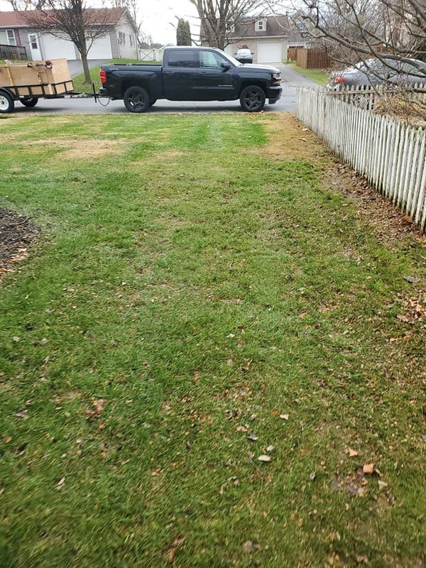 Lawn Care
