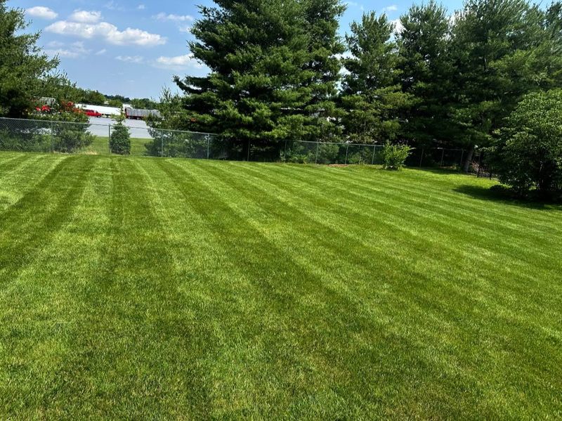 Mowing