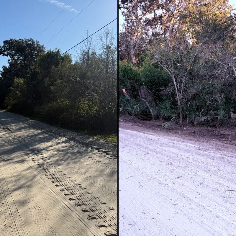 Land Clearing