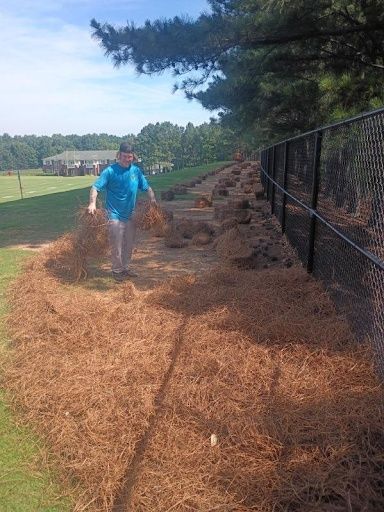 Pinestraw Installation