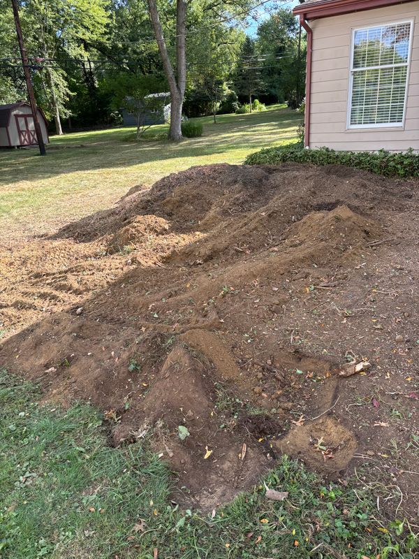 Stump Removal