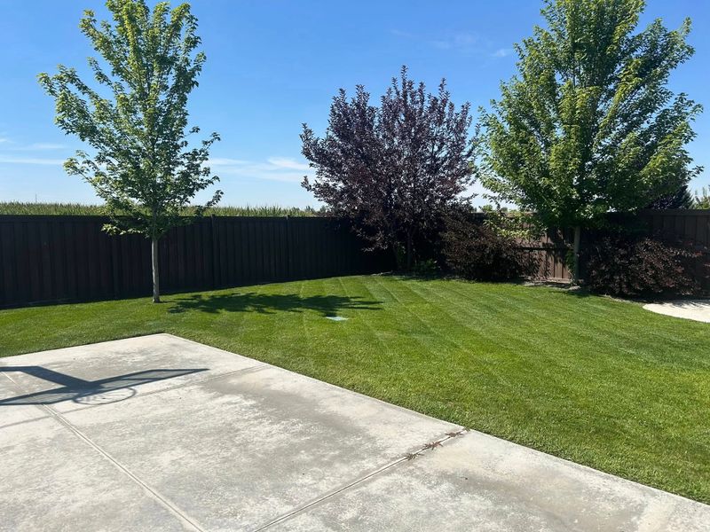 Lawn Mowing and Maintenance