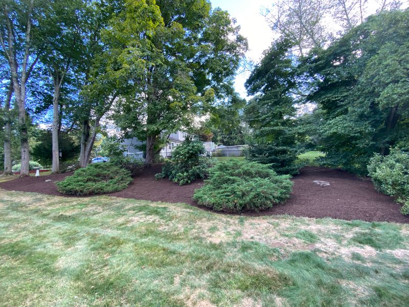 Mulching