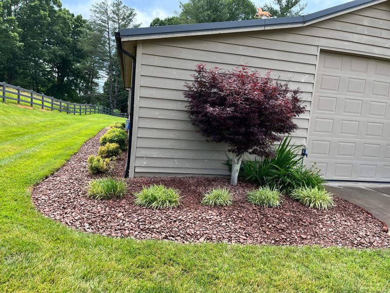 Lawn Maintenance