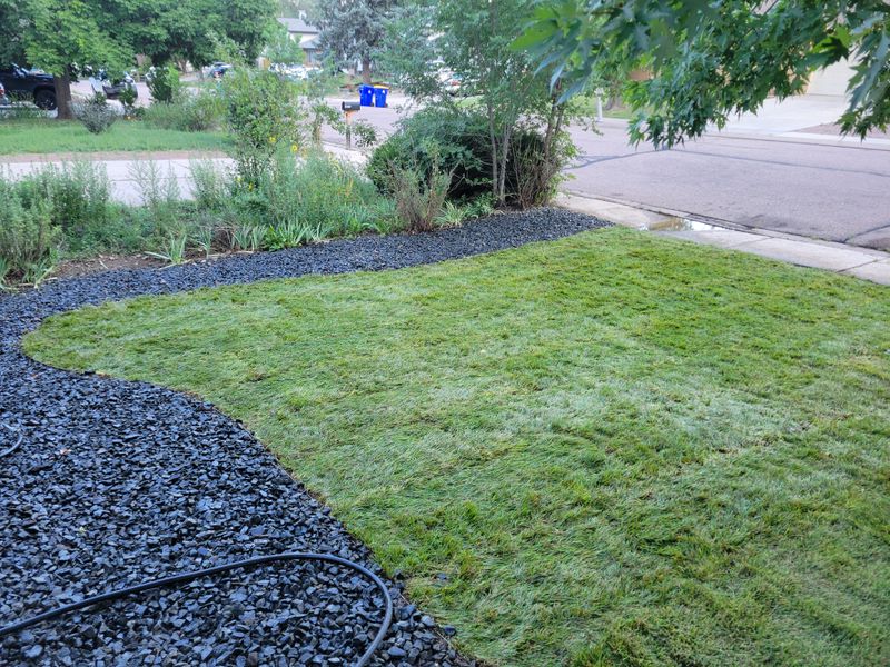 Mulch Installation