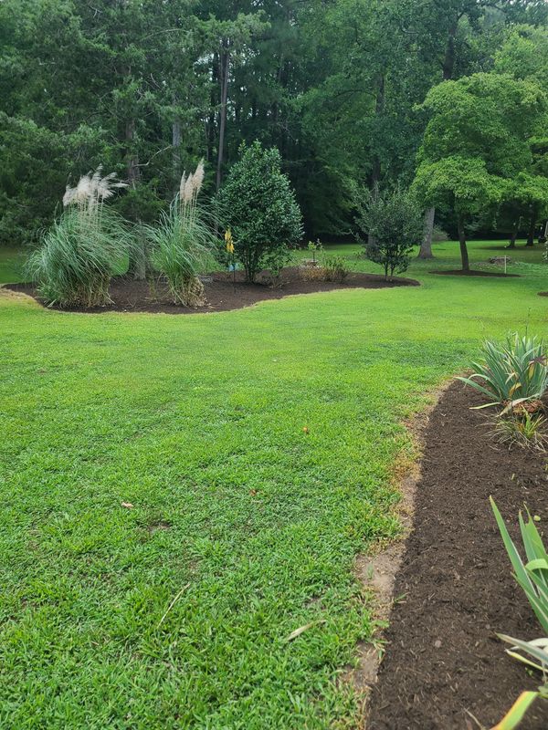 Lawn Maintenance