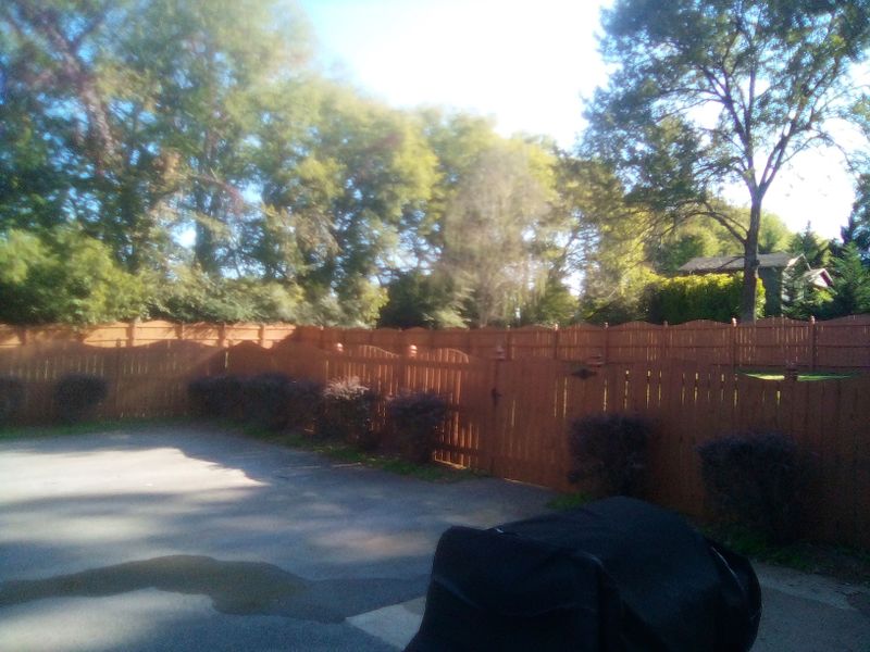 FENCES